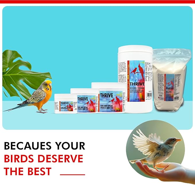 Morning Bird Thrive Nutritious Energy Supplement with Minerals, Vitamins, Amino Acids, Electrolytes, and Protein 1 oz
