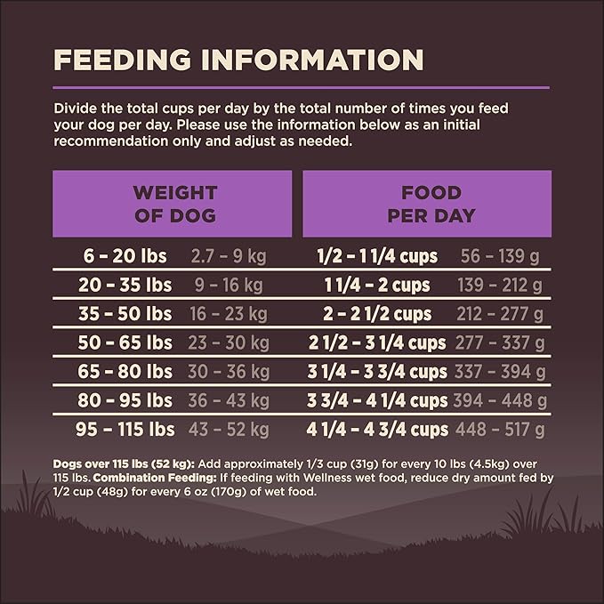 Wellness CORE Grain-Free Senior Dry Dog Food, Made in USA with Natural Ingredients, No Meat by-Product, Fillers, Artificial Flavors, or Preservatives (4-Pound Bag, Turkey)