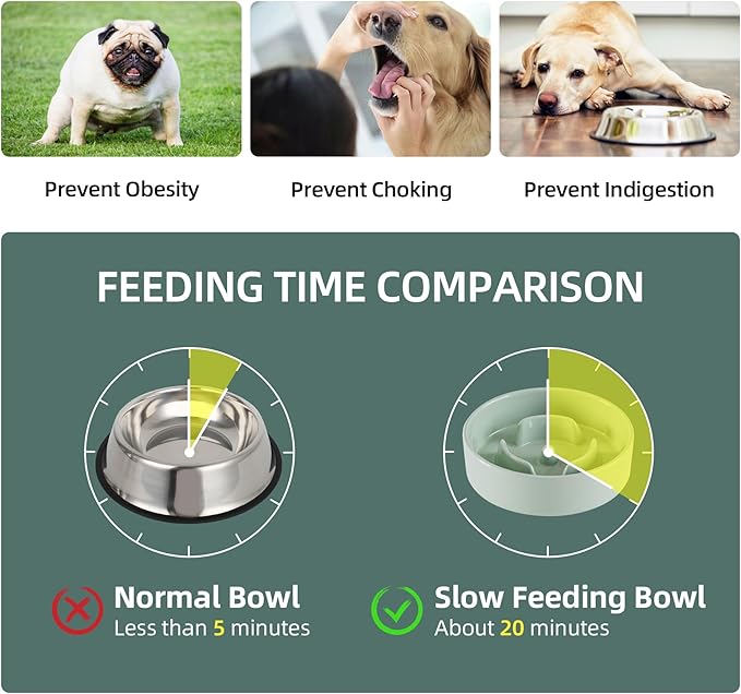 6.1inch Ceramic Dog Bowl Slow Feeder for Small Dog, Pet Slow Feeder, Stop Bloat, Preventing Choking(Single Bowl-Light Green)