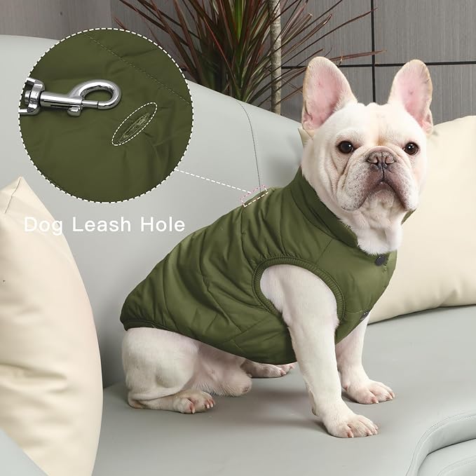 2 Layers Fleece Lined Warm Dog Jacket for Winter Cold Weather,Soft Windproof Large Dog Coat,Green XXXL
