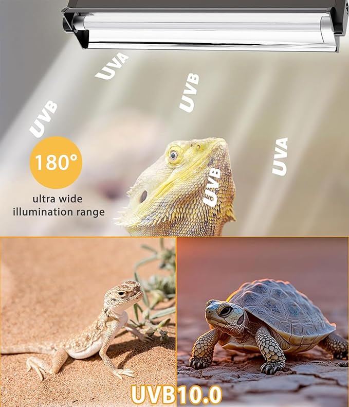 T5 UVB Reptile Light Fixture Combo Kit - 12 Inch 8W Terrarium Hood 10.0 UVA UVB Bulb with High-Efficiency Reflector for Desert Reptiles & Amphibians (Bearded Dragons, Turtles, Tortoises)