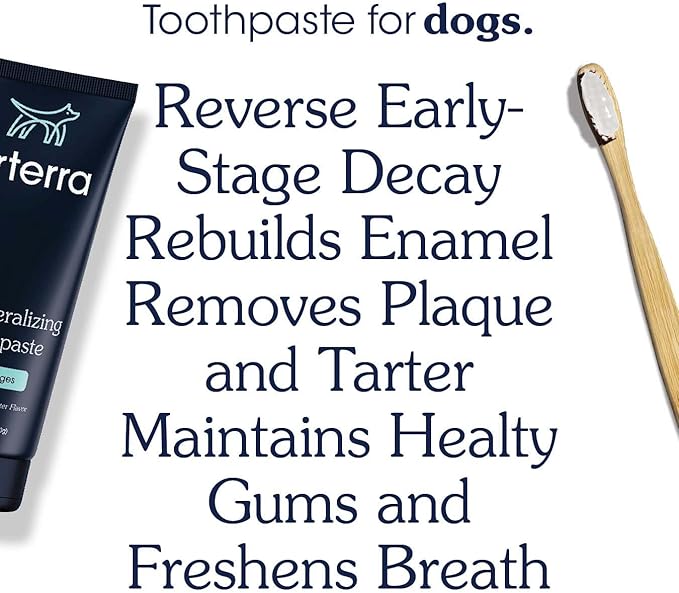 Remineralizing Dog Toothpaste – Vet-Grade, with Nano-Hydroxyapatite, Reverses Early-Stage Decay, Cleans Teeth, Reduces Tartar, Freshens Breath by Arterra Pet Science, Plant-Based, Natural Flavor, 4oz