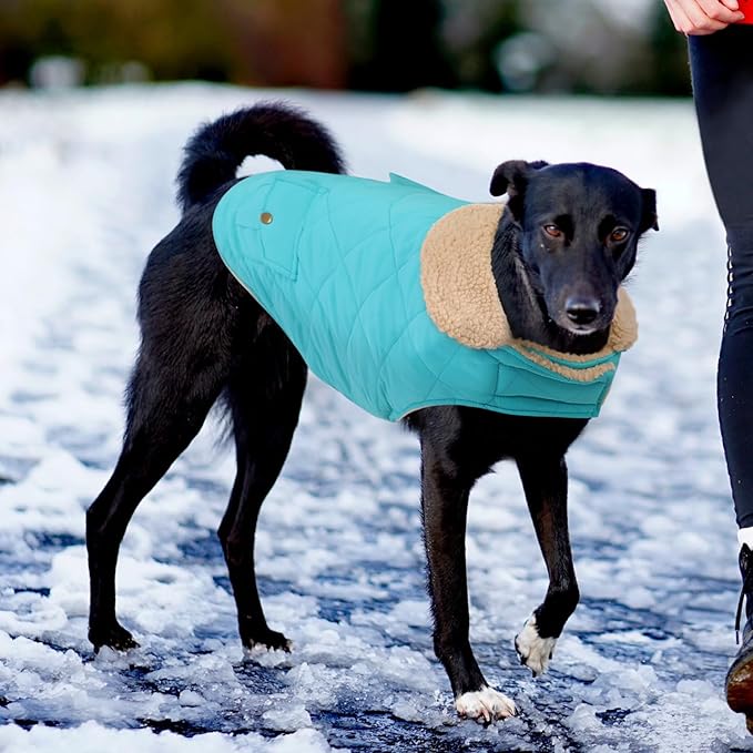 Winter Coat for Medium Dogs, Dog Plaid Jacket, Pets Coat for Cold Weather, Windproof Warm Garments, Pet Thickened Outfits Indoor Outdoor, Blue M