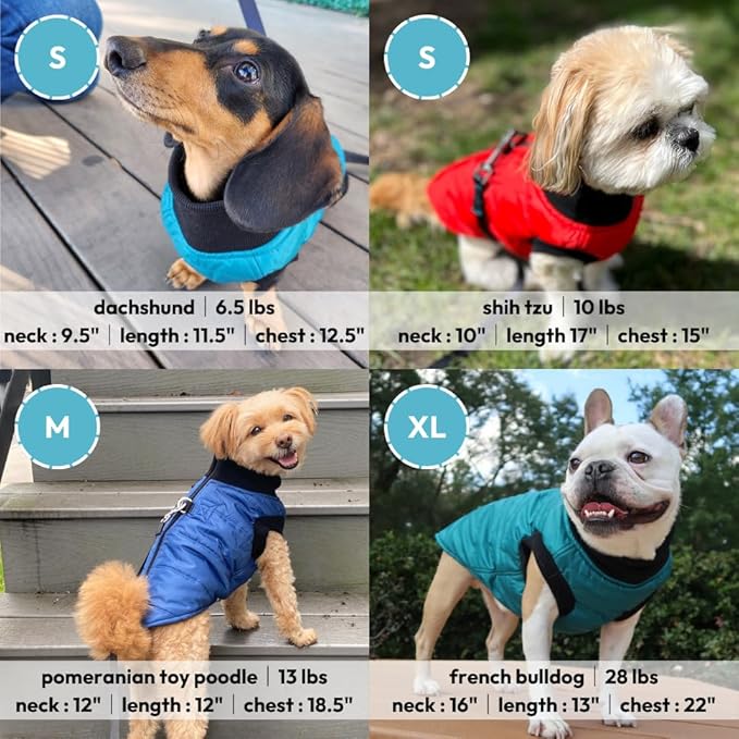 Gooby G21 Bomber Dog Jacket - Blue, Small - Waterproof Zip Up Dog Jacket with Dual D Ring Leash Warm Windproof for Small to Medium Dogs