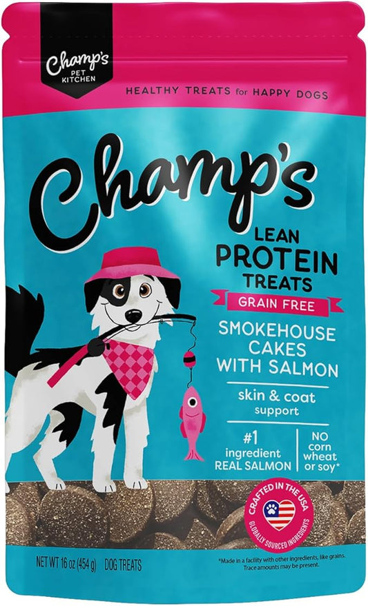 Soft Healthy Dog Treats for Skin & Coat Support Made with Omega 3, Biotin & Flaxseed - Grain Free Salmon - 16 oz