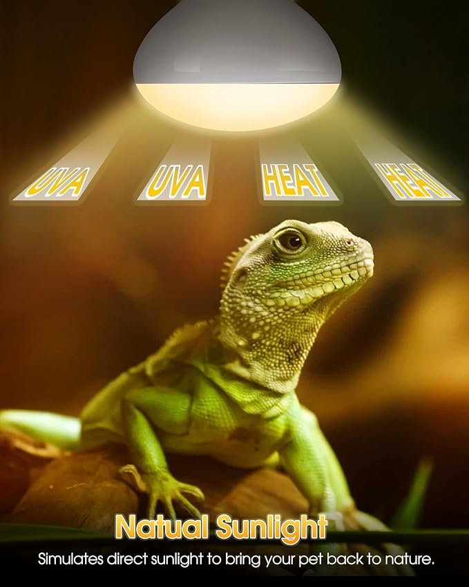 Reptile Heat Lamp, 100W UVA Natural Daylight Heat Lamp Bulbs Basking Spot Lights for Reptiles, 2 Pack Amphibians Terrarium Basking Reptile Light Bulb for Bearded Dragon, Lizard, Turtle, Chicken, Snake
