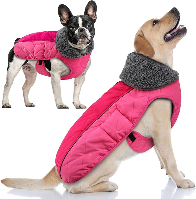 Doglay Dog Coat, Waterproof Dog Jacket Pet Winter Coat for Cold Weather with Thicken Furry Collar, Reflective Puppy Winter Jacket Warm Fleece Lining for Small Medium Large Pets