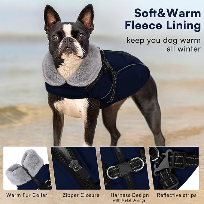 Queenmore Waterproof Dog Coat for Small Dogs,Reflective Windproof Dog Jackets with Built-in Harness,Dog Winter Coats with Zipper On Back,Warm Snowsuit with Fleece Lining,Navy Blue,S