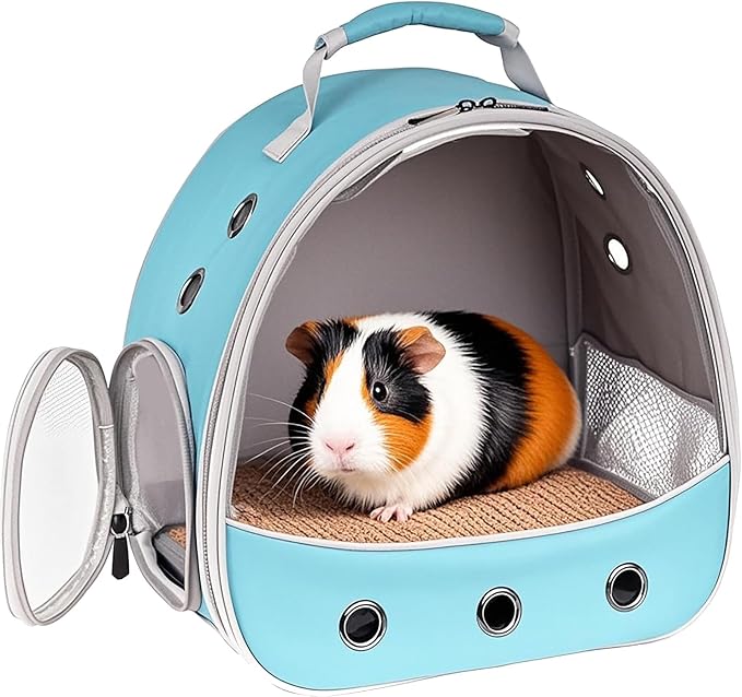 Small Animal Travel Carrier Backpack to Carry and Transport Guinea Pig Birds Bearded Dragon, Clear Front Window, Portable Bag to Transport Hamster Hedgehog