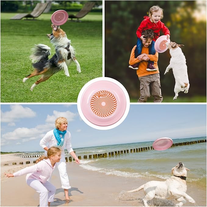 Wham-O Frisbee Fastback Flying Disc, 9.35 Inch Dog-Friendly Lightweight Toy for Professional Players Outdoor Beach Park Backyard Game - 100g