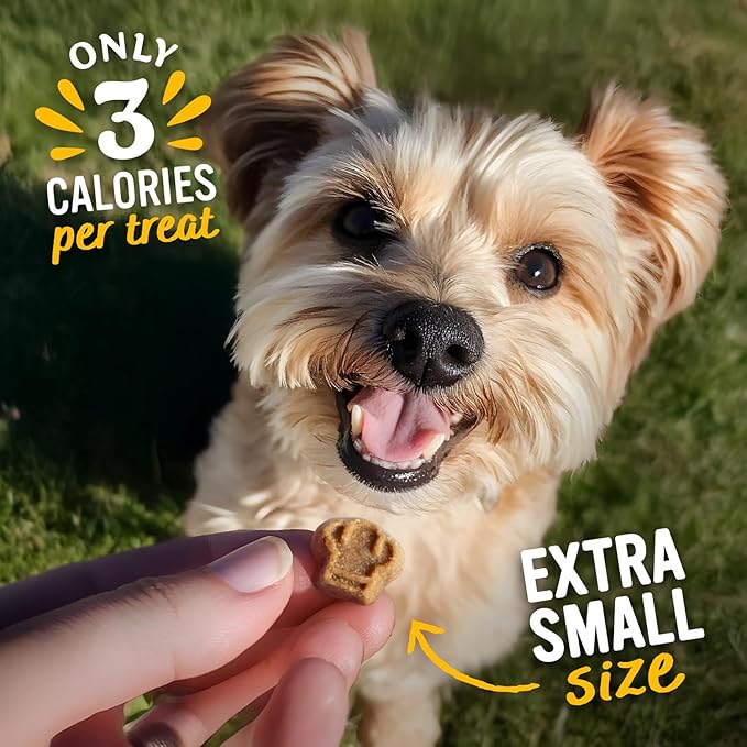 Blue Dog Bakery Perfect Trainers Treat | Small, Soft & Chewy Beef Flavor | Natural Healthy Dog Treats, 6 oz (Pack of 8)