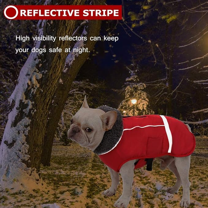 QBLEEV Warm & Waterproof Dog Coat - Reflective Turtleneck with Thick Fleece for Winter and Snow, S, M, L Dogs