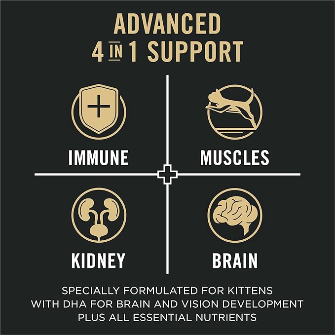 Purina Pro Plan Vital Systems Chicken and Egg Formula Kitten Dry Food 4-in-1 Immune, Muscles, Kidney and Brain and Vision - 3 lb. Bag