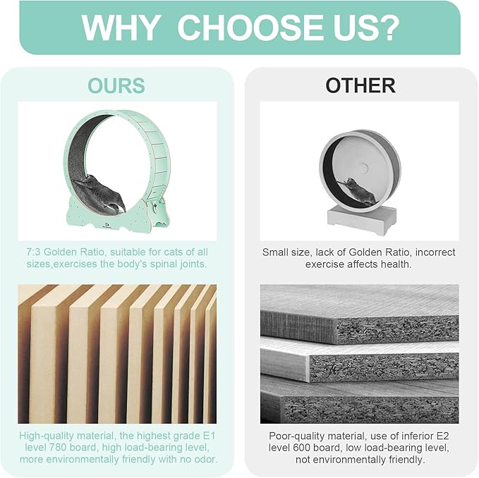 Cat Wheel, 48" XL Large Cats Exercise Running Wheel, Cat Treadmill for Indoor Cats, Green