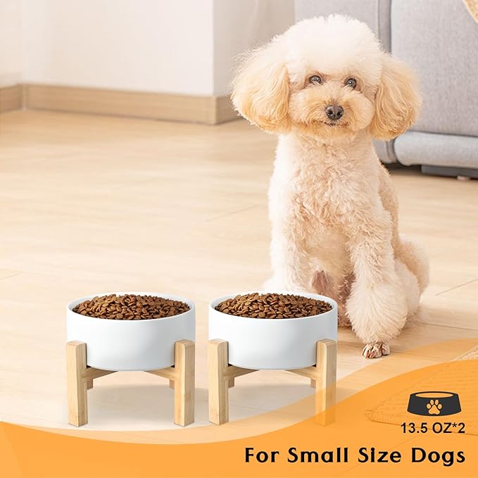 SPUNKYJUNKY Ceramic Elevated Dog Bowls 2 Pack - 5.1inch Raised Dog Bowls with Non-Slip Wooden Stand for Small Dogs Dishwasher Safe(White,13.5OZ*2)
