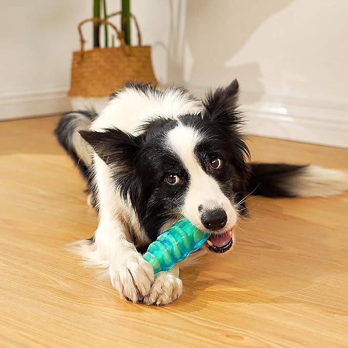 MewaJump Dog Chew Toys for Aggressive Chewers, Tough Dog Toy for Medium and Large Breeds, Indestructible Dog Toys, Durable Dog Toy, Bone Nylon Toy