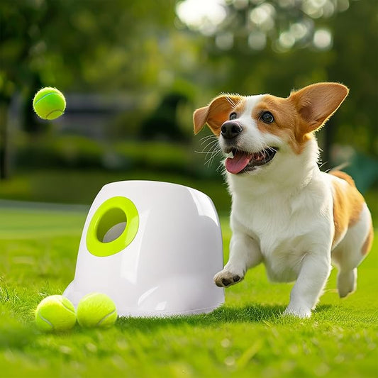 AFP Automatic Ball Launcher for Dogs Dog Fetch Ball Thrower Interactive Puppy Pet Ball Launcher for Small & Medium Dogs Indoor/Outdoor Dog Ball Thrower Machine 3 Balls Included (2 inch)