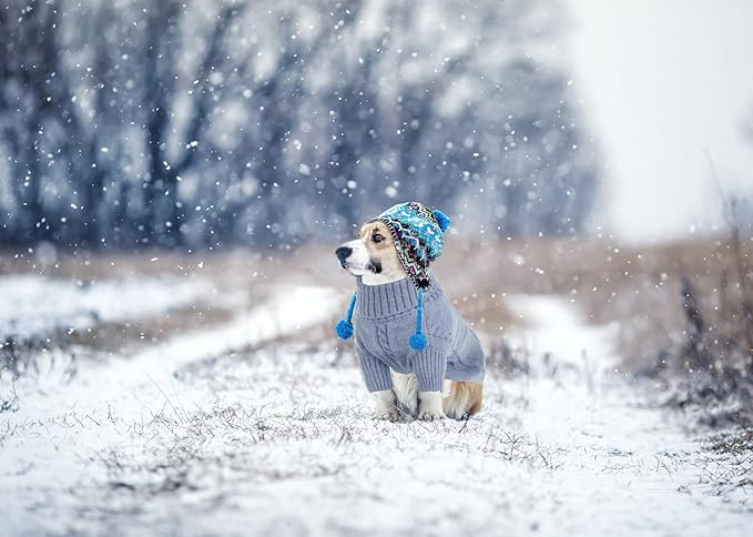 Queenmore Small Dog Pullover Sweater, Cold Weather Cable Knitwear, Classic Turtleneck Thick Warm Clothes for Chihuahua, Bulldog, Dachshund, Pug, Yorkie (Grey, Small)