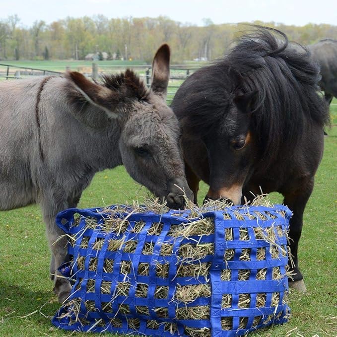 Derby Originals Natural Grazer Patented Four Sided Slow Feed Horse Hay Bag with One Year Warranty