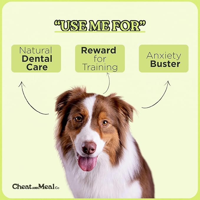 Bully Sticks for Medium Dogs - [6 Inch, 10 Pack] - Natural, Grass-Fed Beef Pizzle Sticks for Medium Dogs and Large Breeds - Rawhide-Free, Grain-Free, Long-Lasting Chews