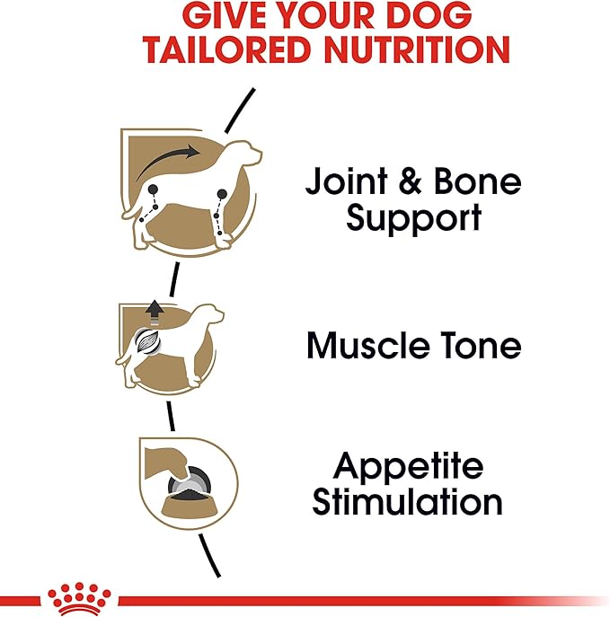 Royal Canin Breed Health Nutrition Dachshund Adult Loaf in Sauce Dog Food, 3 oz (Pack of 6)