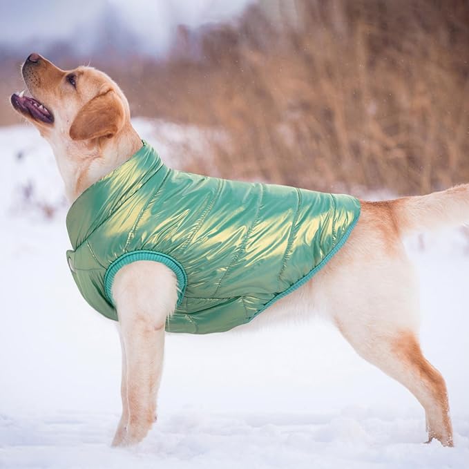 ASENKU Dog Winter Coat - Waterproof Windproof Dog Jacket, Warm Snowproof Doggie Puffer Vest for Cold Weather, Lightweight Snow Coats for Small Medium Large Dogs (Mint Green, 2XL)