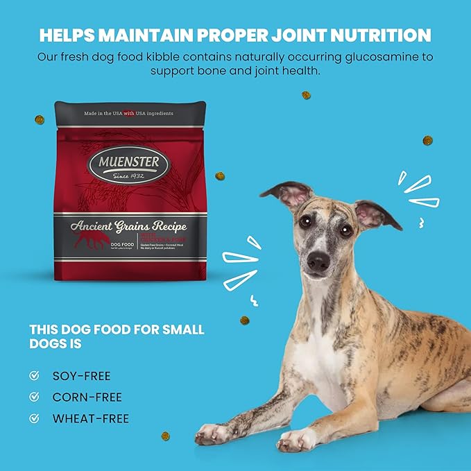 Muenster Ancient Grains Chicken & Pork Dry Dog Food, 4lb - Gluten-Free, High Protein, Digestive Support
