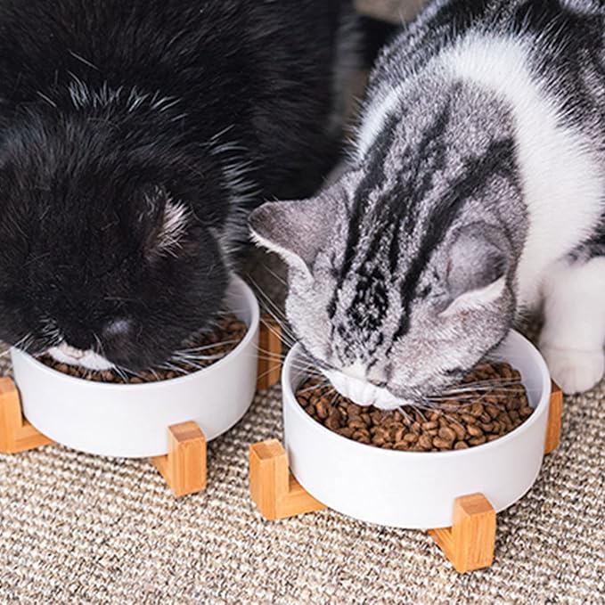 Petygooing Ceramic Dog Cat Bowl Set with Stand, Pet Dog Food and Water Dish,Medium Pet Bowls Anti Slip Set of 2 Cat Bowls-White Pet Food Bowl- Small Medium Size Pet (28 OZ /3.6 Cups)