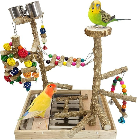 PINVNBY Bird Playground Natural Wood Parrot Perch Stand Bird Play Gym Colorful Ladder Swing Chewing Toys with Metal Tray and 2 Stainless Steel Cups Bird Cage Accessories for Conure Cockatiel Parakeet