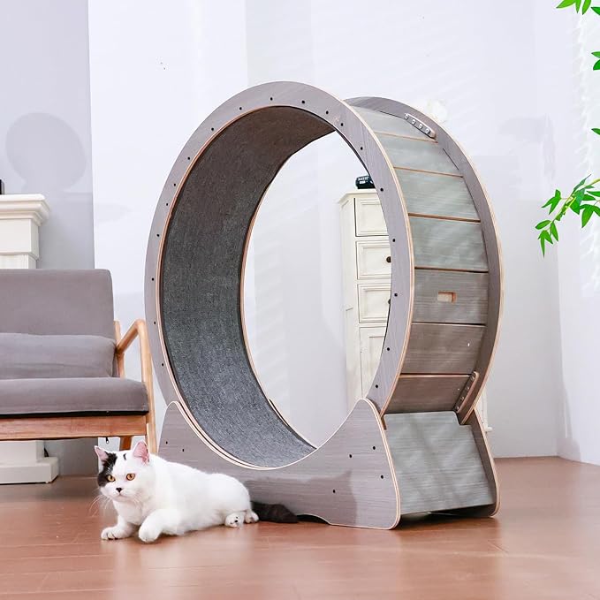 43 Inch Large Cat Exercise Wheel for Indoor Cats, Silent Treadmill, Non-Tip Design, Safe & Quiet Cat Running Wheel, Easy to Assemble, Supports Cats Up to 55 lbs (Grey)