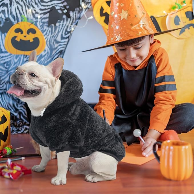 SCENEREAL Fuzzy XS Sweater/Hoodie for Small Dogs, Fleece Warm Sweatshirt With Pocket, Extra Small Chihuahua Clothes for Winter/Fall, Cute Male/Female Outfit