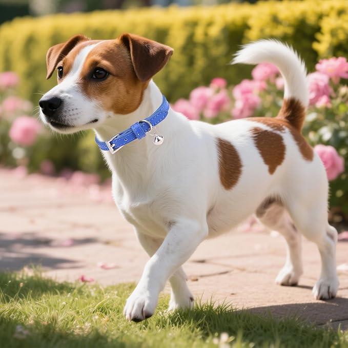 PUPTECK 2 PCS Soft Genuine Leather Cat Kitten Collar with Bells Adjustable for Girl Boy Cats Puppy - Pale Turquoise, Navy Blue