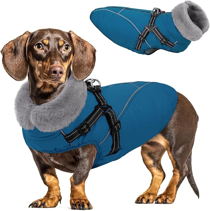 Queenmore Windproof Dog Coat for Medium Dogs,Dog Winter Jackets with Harness Built in,Waterproof Dogs Snowsuits with Zipper,Reflective Cold Weather Coats for Dachshund,Boston Terrier,Pug,Blue,M