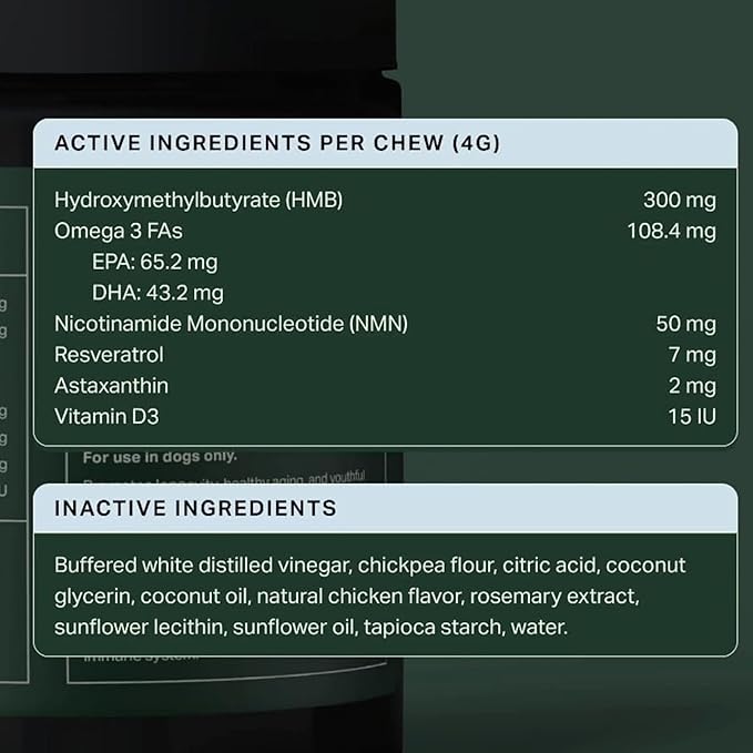 Longevity+ Dog Health Supplement, Cognitive Support, Joint Support, Immune Support
