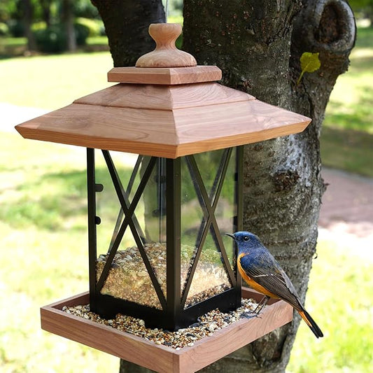 Cedar & Metal Frame Bird Feeder for Outdoors Hanging Mount Large Capacity, Black Wooden Garden Roof Feeder Lantern Style, Cardinal Bluebird Birdfeeder with Iron Frame Wall for Garden Decor Durable