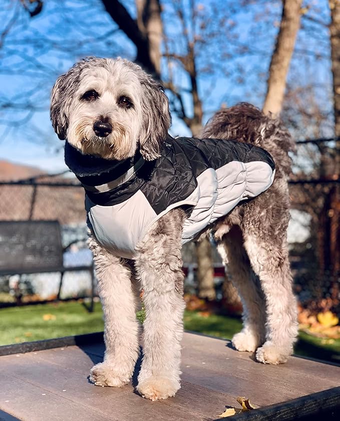 Lelepet Dog Coat Warm Dog Winter Coat Waterproof Dogs Jacket with Harness Built in Reflective Pet Fleece Vest Zip-Up Cold Weather Coats for Large Dogs Turtleneck & Windproof Coats Pitbull Black 2XL