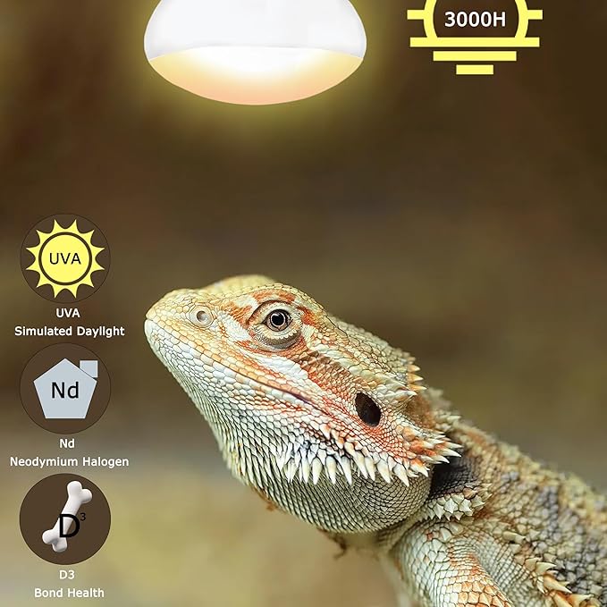 75W E26 Reptile Heat Lamp Bulbs - R63 Upgraded UVA Amphibian Basking Spot Light, Simulated Sunlight for Bearded Dragon, Lizard, Tortoise & chics, Daylight Bulb for Aquariums and Tanks|2 Pack
