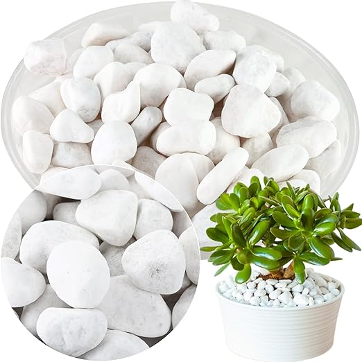 17.6 Lbs Natural River Rocks for Plants 1''-2'' Large Landscaping Garden Stones White Aquarium Gravel Decorative Pebbles for Indoor Outdoor Planters, Big Terrarium Rocks in Bulk, Home Decor