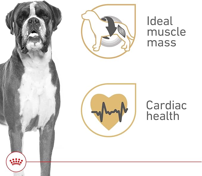 Royal Canin Breed Health Nutrition Boxer Adult Loaf in Sauce Dog Food, 13.5 oz (Pack of 12)