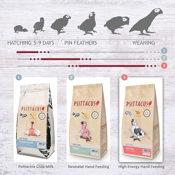 Psittacus High Energy Hand-Feeding Formula 2.2 lb | Diet for Baby African Greys, Macaws and Other African Parrots | Premium Food for Birds, 100% no-GMO
