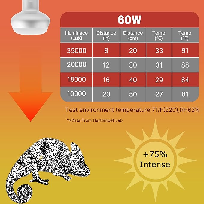 60W Intense Basking Spot Lamp – UVA Daylight Heat Bulb for Reptiles and Amphibians, Simulates Natural Sunrise and Sunset, Ideal for Bearded Dragons, Snakes, Lizards & Chicks | 2 Pack