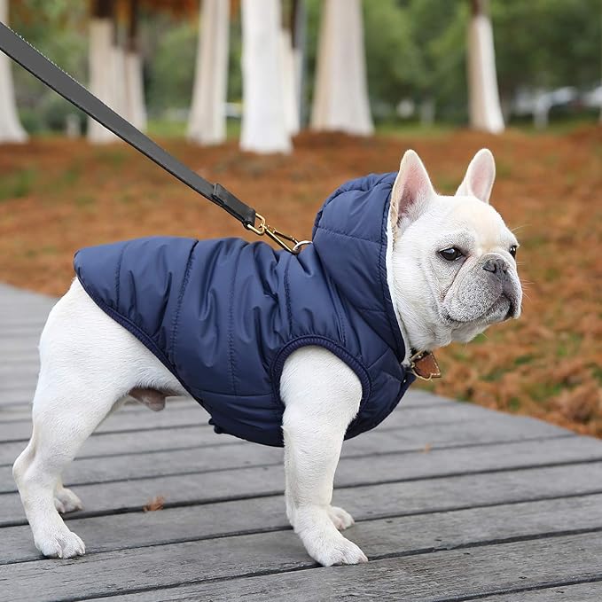Fleece Hoodie, Windproof Waterproof Coat, Winter Warm Jacket, Cold Weather Pet Apparel Clothes Vest for Small Medium Large Dogs (S, Blue)
