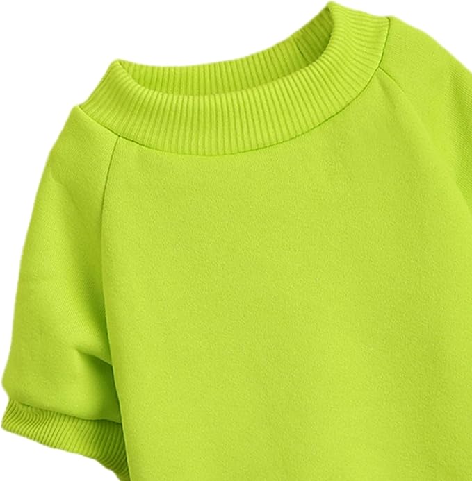 Puppy Sweater for Small Dogs Clothes Warm Winter Cat Clothe Pet Sweatshirt Knitwear Doggie Kitten Clothing, Light Green, Small