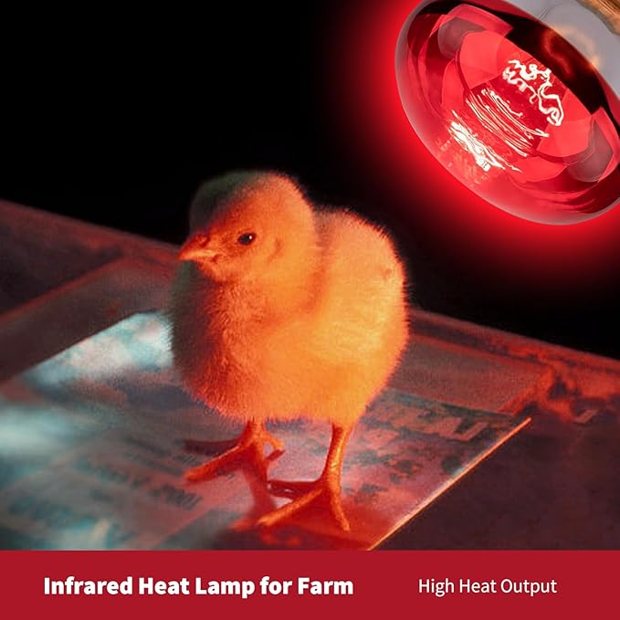 150W R40 Infrared Heat Lamp Bulb for Chicken Brooder, Pets, Reptiles, Bathroom & Sauna, E26 120V, 2000Hrs Red Light Therapy, 1-Pack