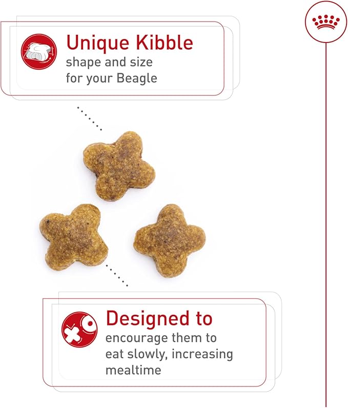 Royal Canin Beagle Adult Dry Dog Food, 30 lb bag