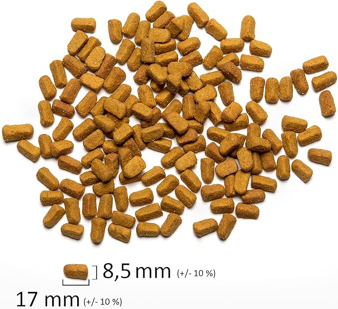 Psittacus Omega 6.6 lb | Complete Pellet Diet for African Greys, Macaws, Eclectus and Other African Parrots | Premium Food for Birds, 100% no-GMO