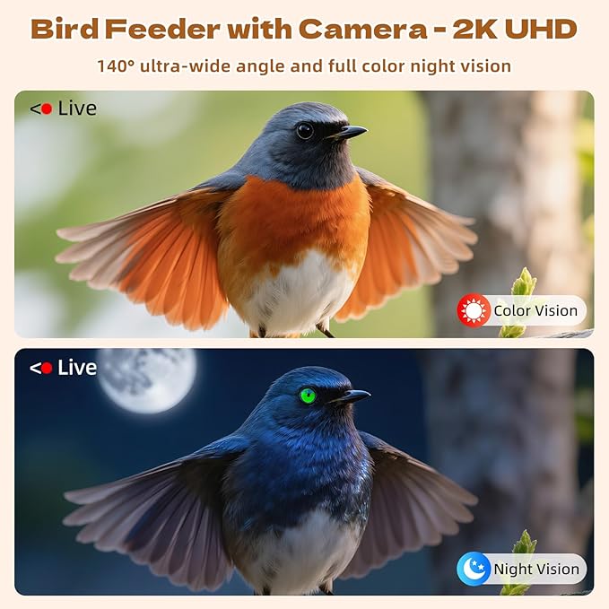 Smart Bird Feeder with Camera Solar Powered AI Identification 10,000+ Bird 2K UHD Video Live Instant Arrival Alerts and Real-Time Motion Detection Weatherproof Bamboo for Outdoor Birds Lovers