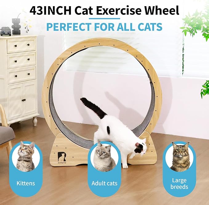 43 Inch Large Cat Exercise Wheel for Indoor Cats, Silent Treadmill, Non-Tip Design, Safe & Quiet Cat Running Wheel, Easy to Assemble, Supports Cats Up to 55 lbs (Natural Wood)