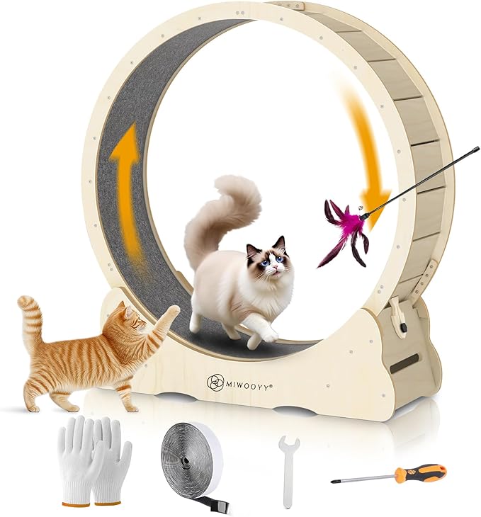 Large Cat Exercise Wheel 56 inch - Natural Solid Wood Kitten Wheel Exerciser for Indoor Cats, Safety Cat Treadmill with Lock & Minimized Gap Design