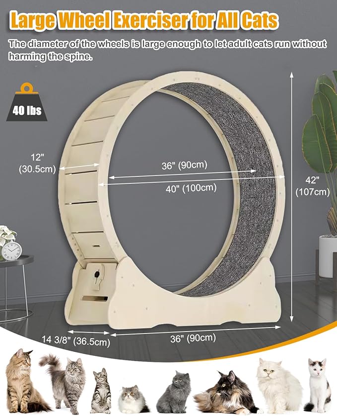 Large Cat Exercise Wheel 40 inch - Natural Solid Wood Cat Wheel Exerciser for Indoor Cats, Safety Cat Treadmill with Lock & Minimized Gapdesign